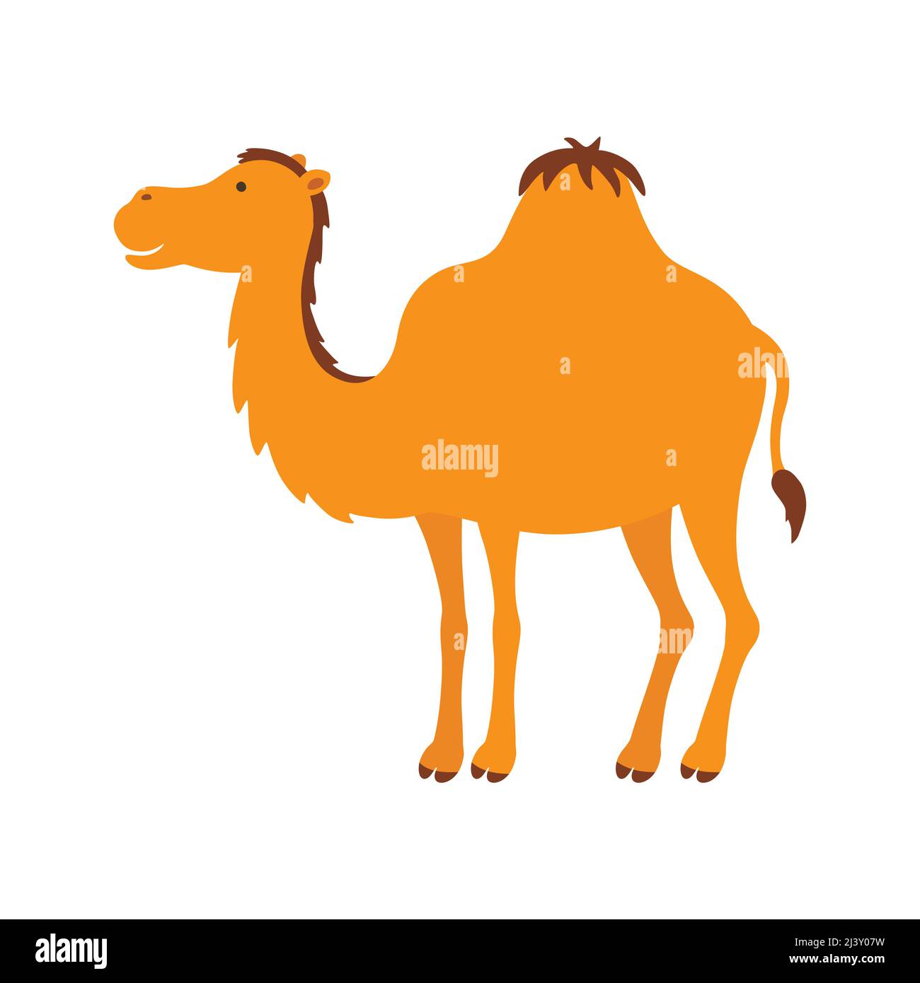 Dessin animé à dos de chameau isolé sur fond blanc. Eps10 Illustration de Vecteur