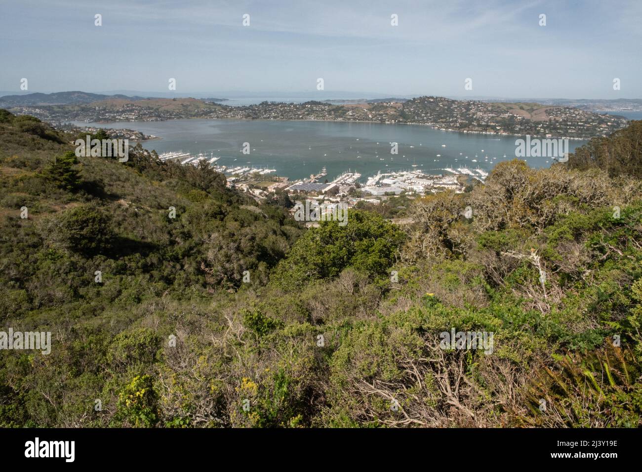 Sausalito et la péninsule de Tiburon sur la baie Richardson une petite crique dans la baie de San Francisco en Californie, États-Unis, Amérique du Nord. Banque D'Images
