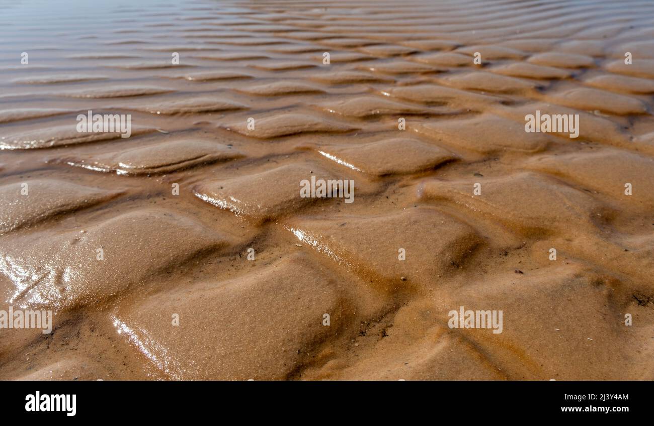 Structure en eau de mer et sable fin sable doré sur le rivage, créant un motif abstrait pendant la marée Banque D'Images