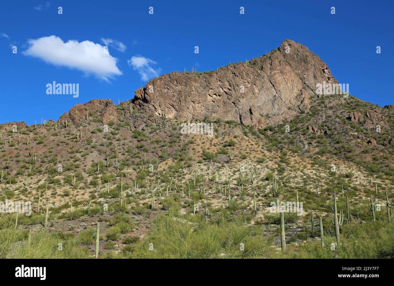 Picacho Peak State Park, Arizona Banque D'Images