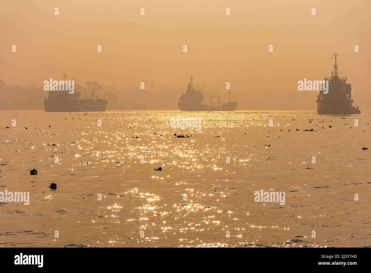 Grandes mers, navires de transport Ocean Carrier, navires, dans le brouillard, matin dans la rivière Pashur, port de Mongla au Bangladesh Banque D'Images