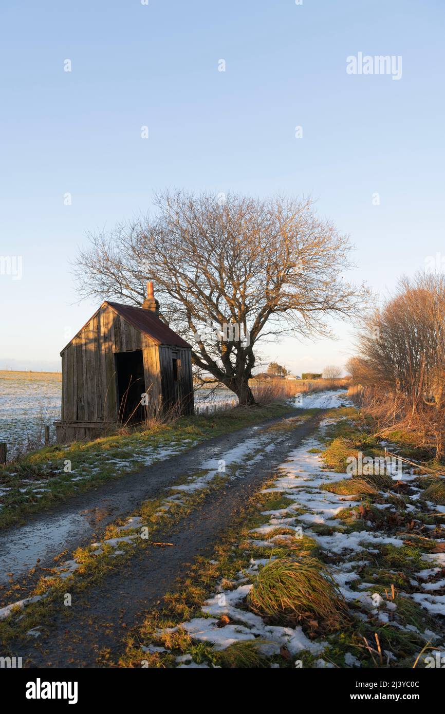 Un Shack de Wayside délabré sur le côté de la route de Formartine et de Buchan en fin d'après-midi hiver Sunshine Banque D'Images