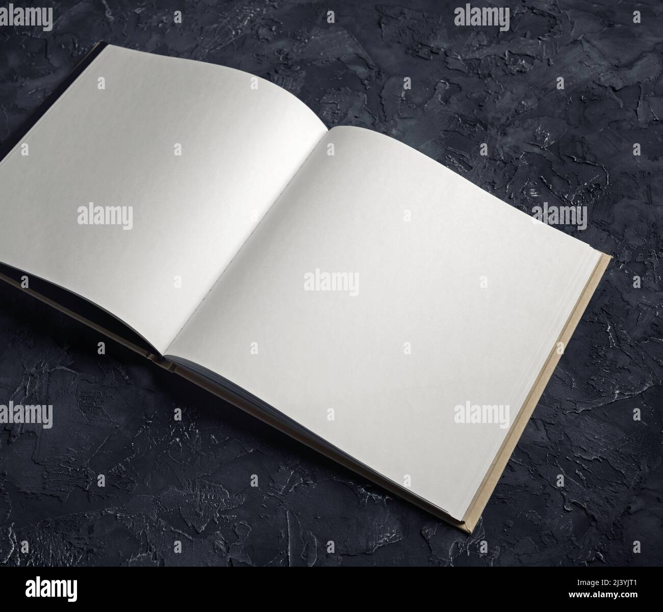 Photo du carnet vierge ouvert sur fond de plâtre noir. Modèle pour les portfolios de graphistes. Banque D'Images