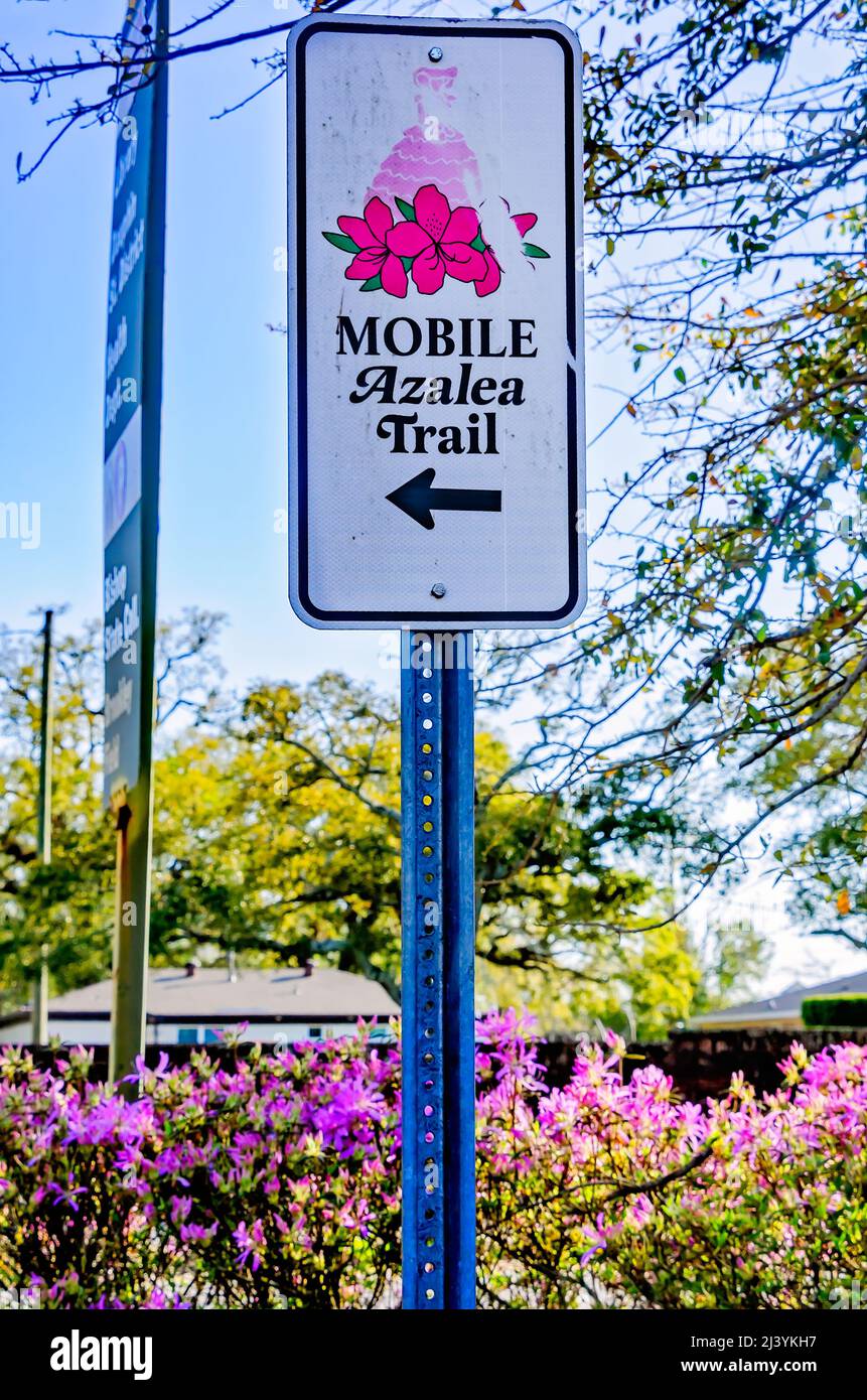 Un panneau indique la route de Mobile Azalea Trail Run, le 25 mars 2022, à Mobile, Alabama. L'événement printanier de deux jours a été fondé en 1978. Banque D'Images