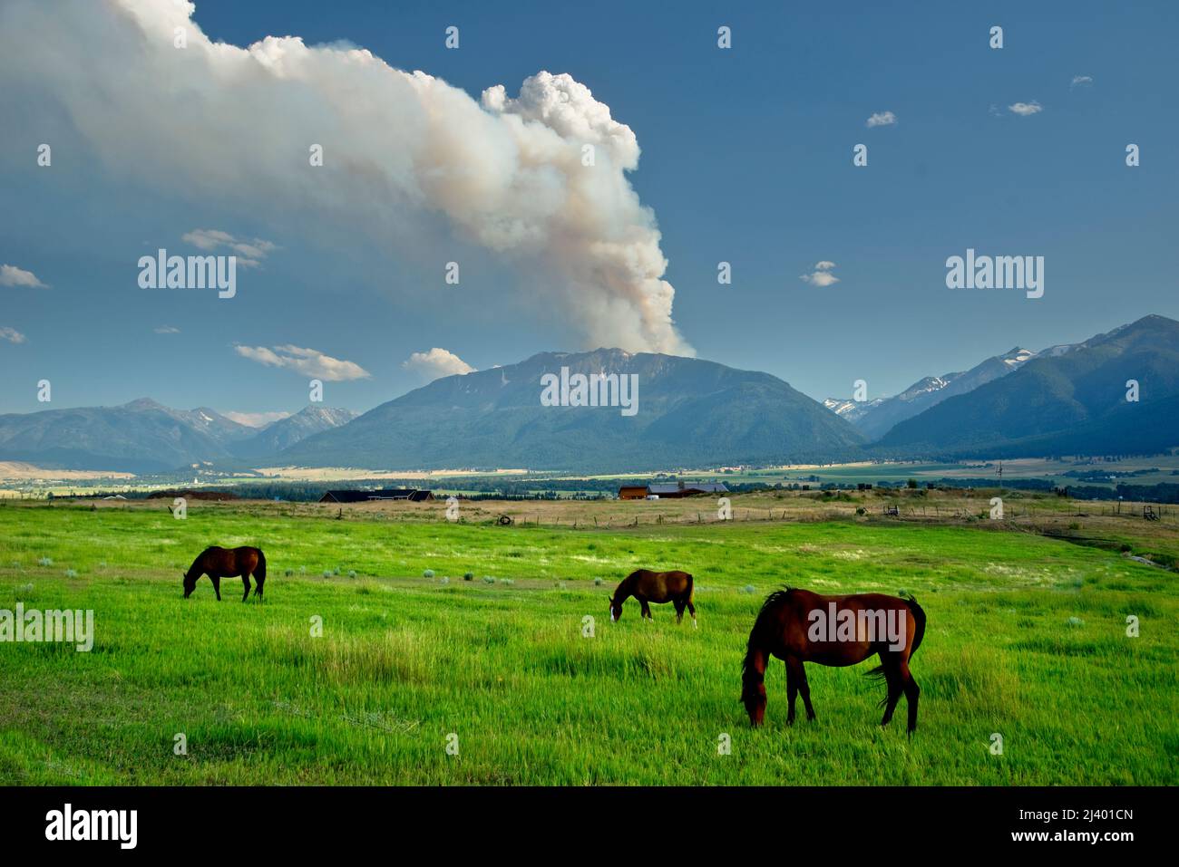 Feu sur Chief Joseph Mountain, Wallowa Valley, Oregon Banque D'Images