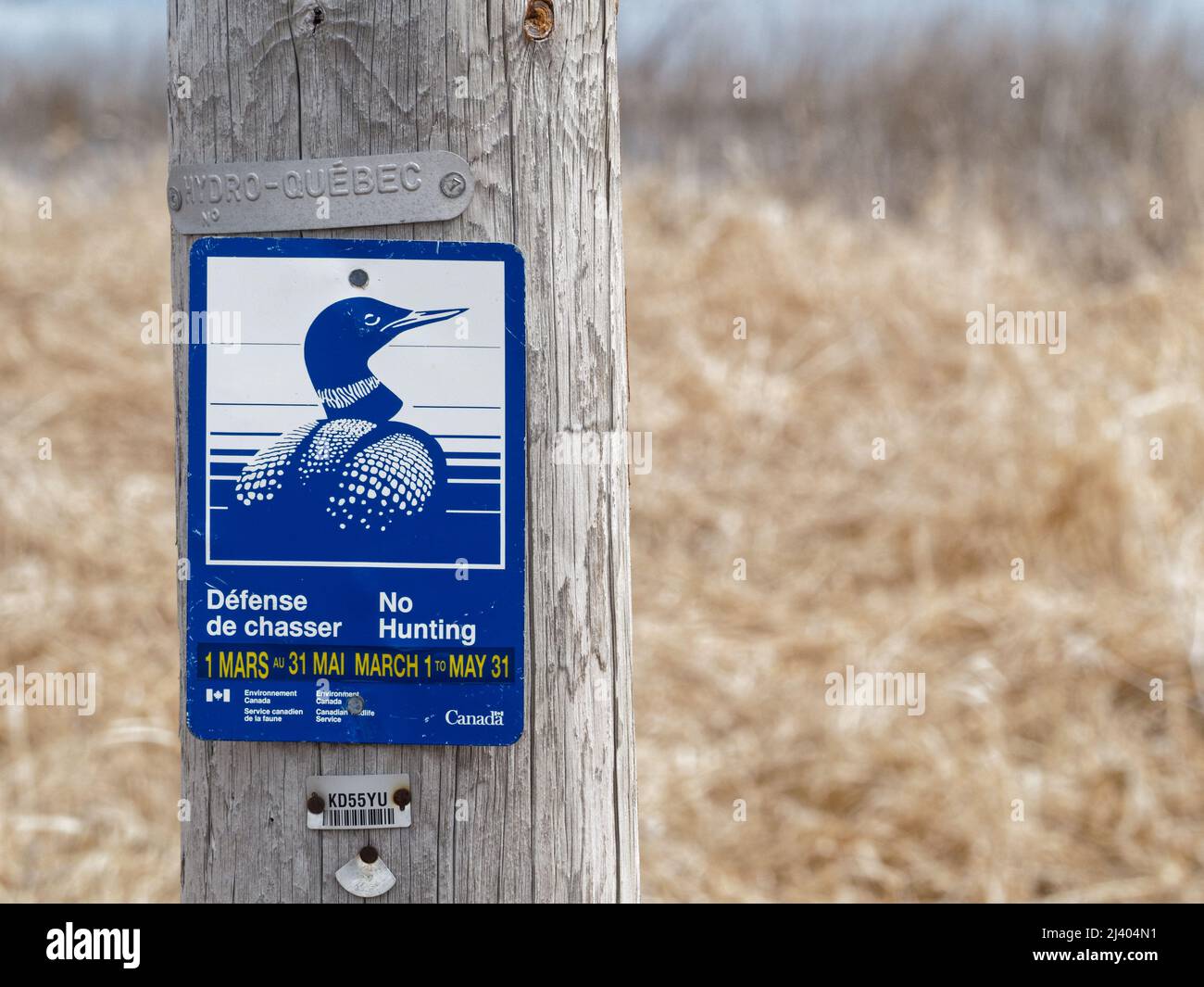 Aucun panneau de chasse affiché. Québec, Canada Banque D'Images