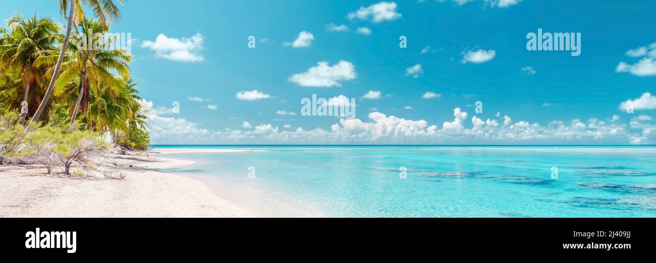 Vacances à la plage paradisiaque escapade tropicale dans l'atoll de Rangiroa, îles de Tuamotu, Polynésie française. Tahiti destination lune de miel avec idyllique Banque D'Images