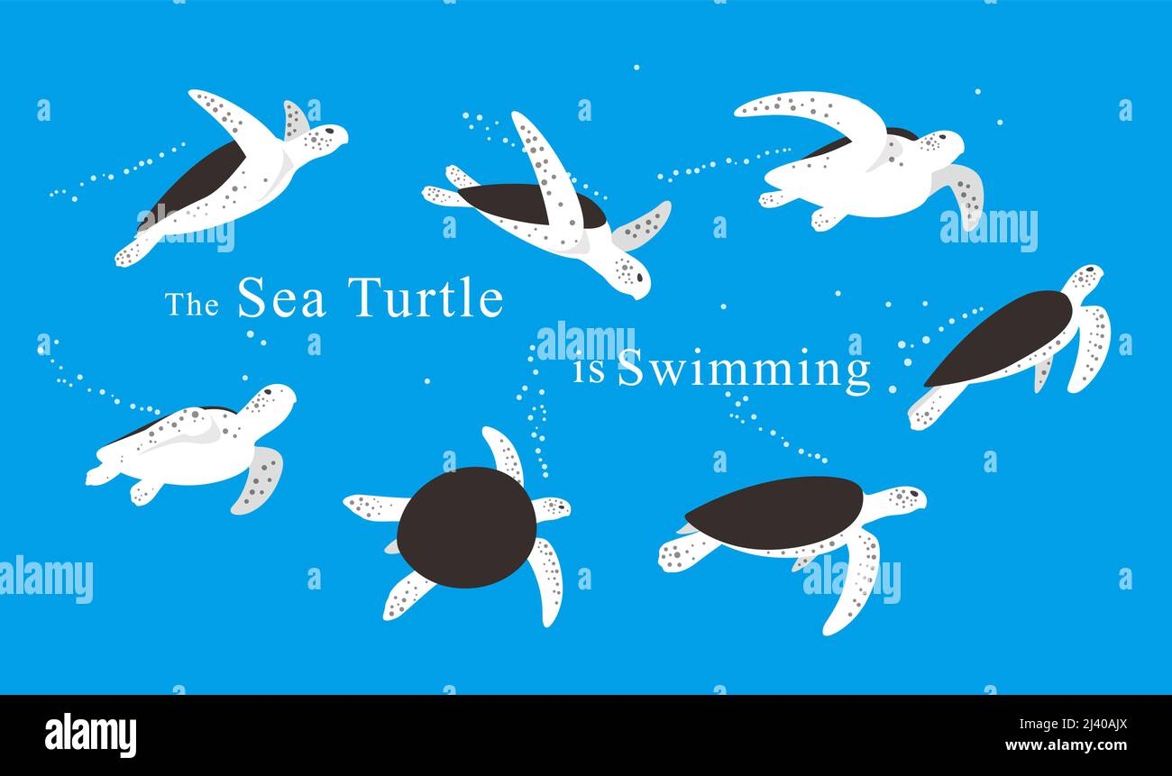 Tortue de mer nager dans la mer, beaucoup de natation, natation de postures voie Illustration de Vecteur