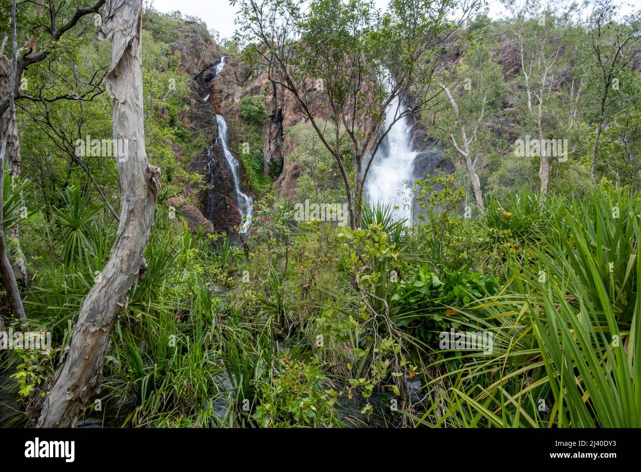 Wangi Falls, Litchfield National Park, Territoire du Nord, Australie Banque D'Images