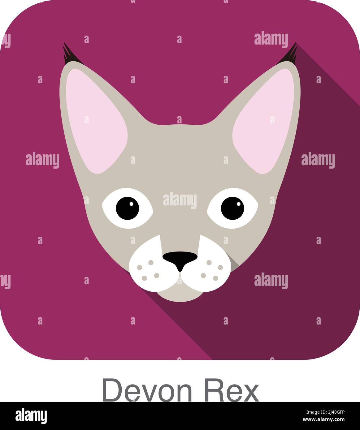 Devon Rex, face de race de chat cartoon télévision icône concevoir Illustration de Vecteur