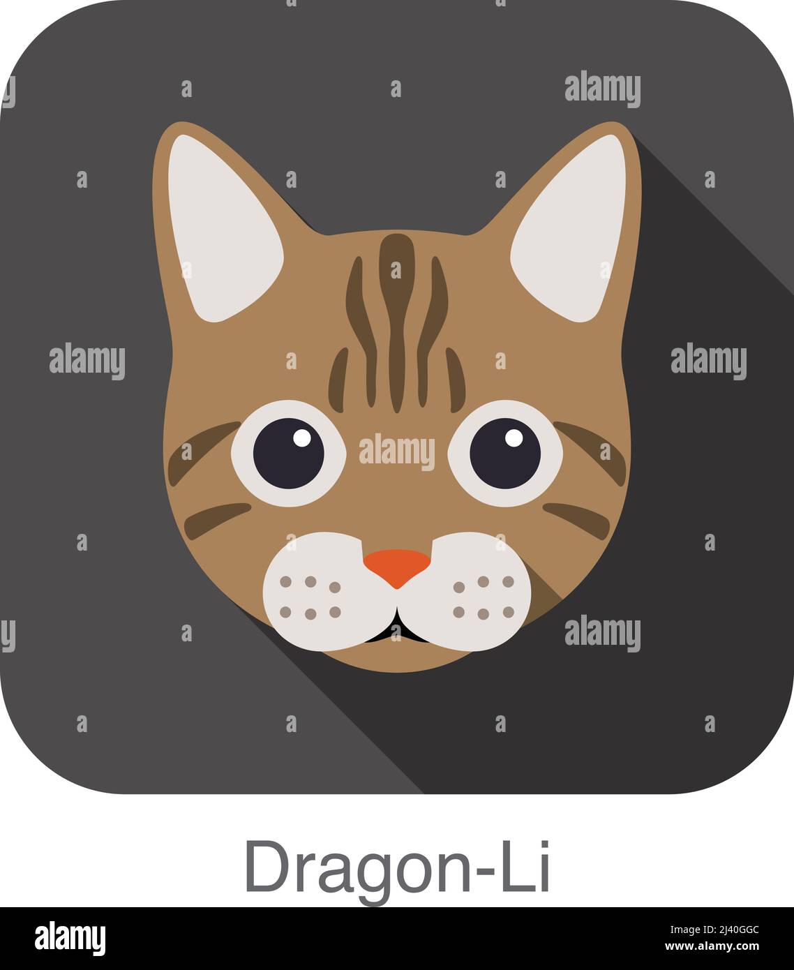 Chat dragon li Banque d'images détourées - Alamy
