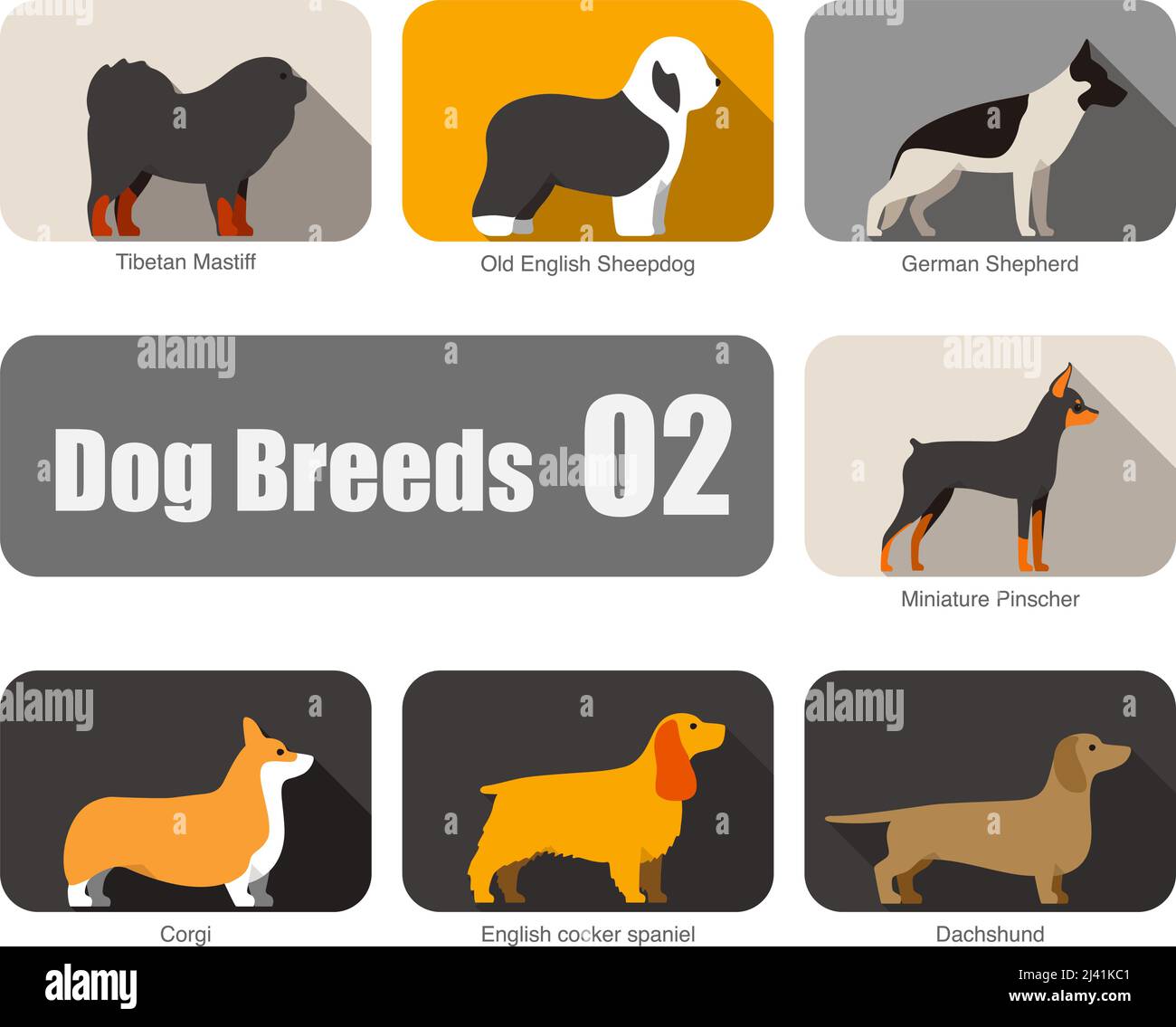 Chiens de races, debout au sol, vue latérale, illustration vectorielle, série d'images de dessins animés pour chiens Illustration de Vecteur
