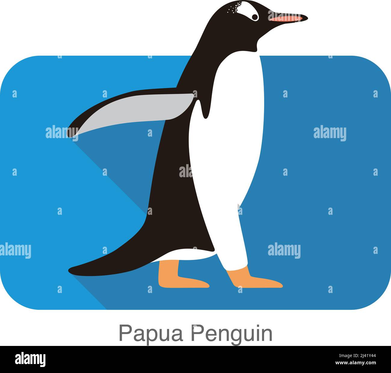 La Papouasie, Penguin Gentoo pingouin, marche à pied, vector illustration Illustration de Vecteur