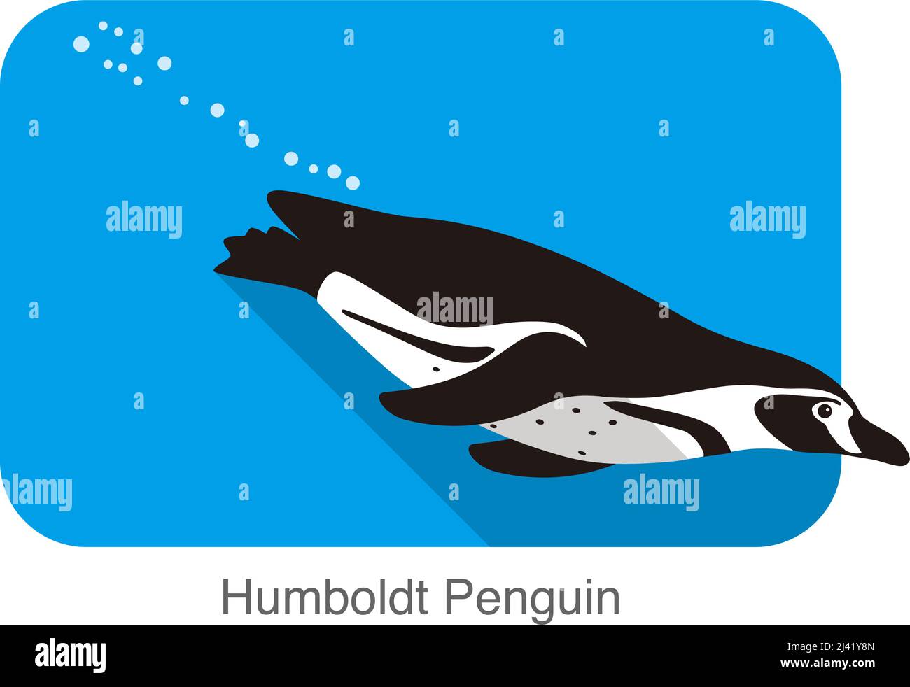 humboldt Penguin, illustration vectorielle de la série Penguin Seed Illustration de Vecteur