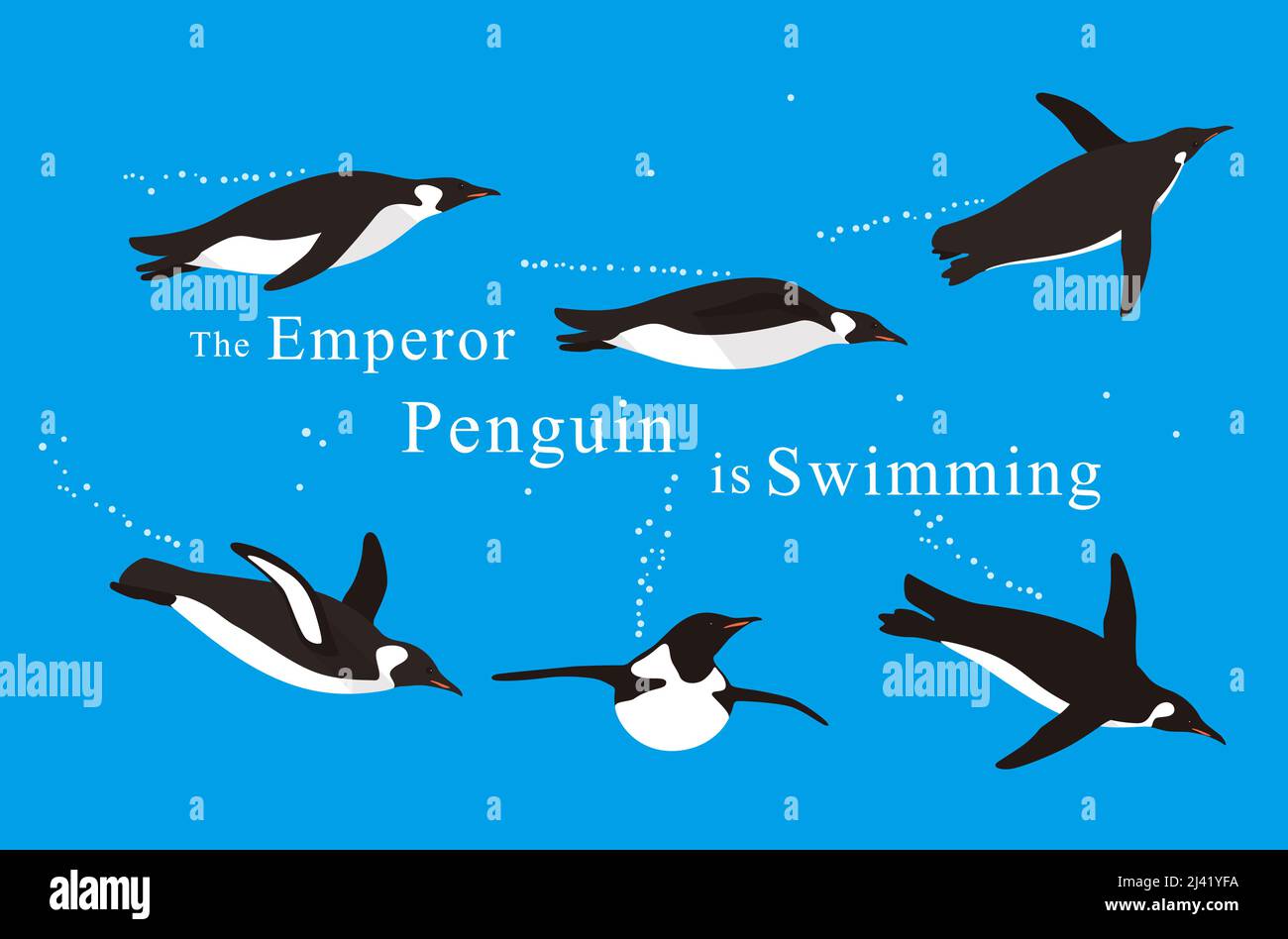Beaucoup de pingouins d'empereur nageant dans la mer avec diverses postures, vecteur Illustration de Vecteur