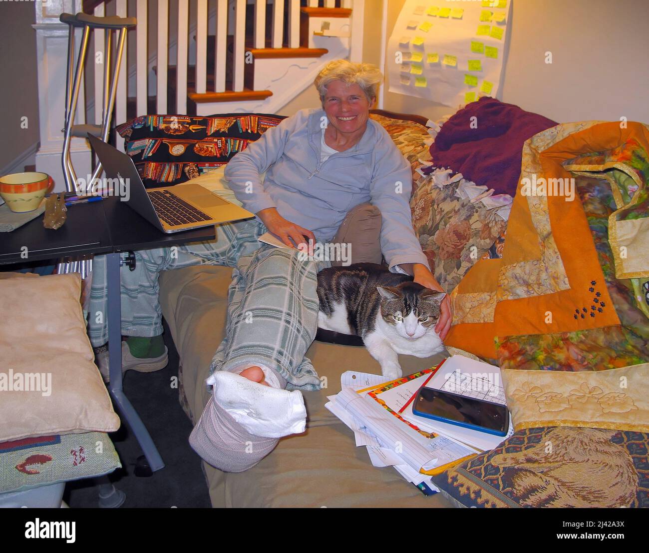 femme travaillant sur un projet scolaire, ordinateur portable, jambe cassée en fonte, élevée, chat, animal de compagnie, Félin, béquilles à proximité ; horizontal ; MR, PR Banque D'Images