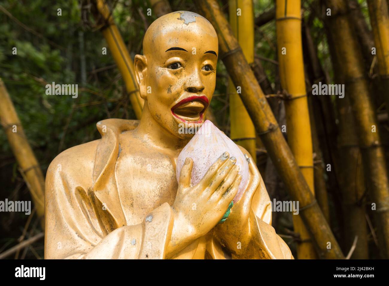 Magnifique statue de bouddha unique en son genre. Sculpture religieuse dorée représentant un bouddhiste/moine. Dix mille Monastère Bouddhas, Sha Tin, Hong Kong Banque D'Images Magnifique statue de bouddha unique en son genre. Sculpture religieuse dorée représentant un bouddhiste/moine. Dix mille Monastère Bouddhas, Sha Tin, Hong Kong Banque D'Images