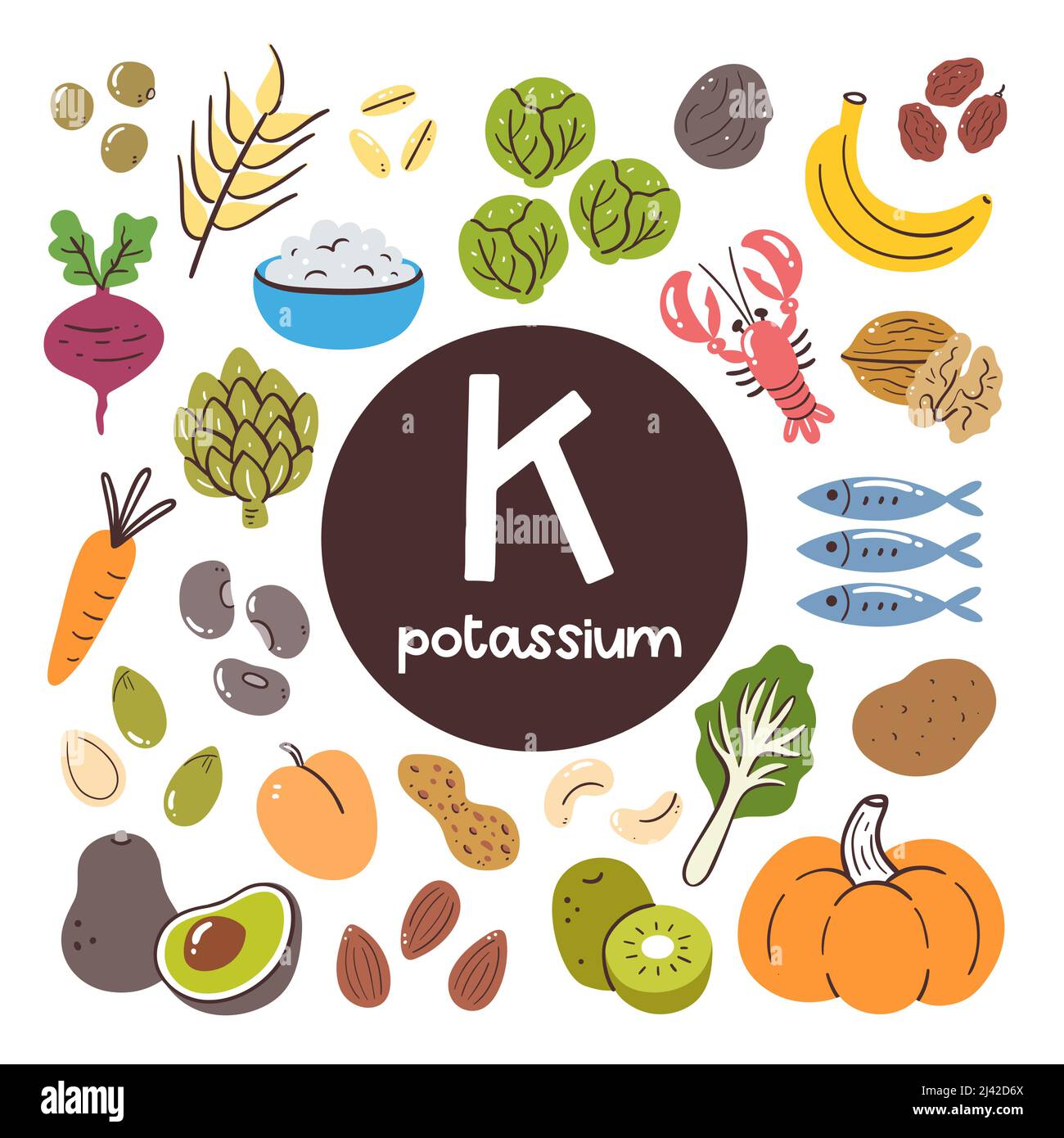 Produits alimentaires à haut niveau de potassium. Ingrédients de cuisson. Fruits, légumes, légumineuses, noix, produits laitiers, fruits de mer. Illustration de Vecteur