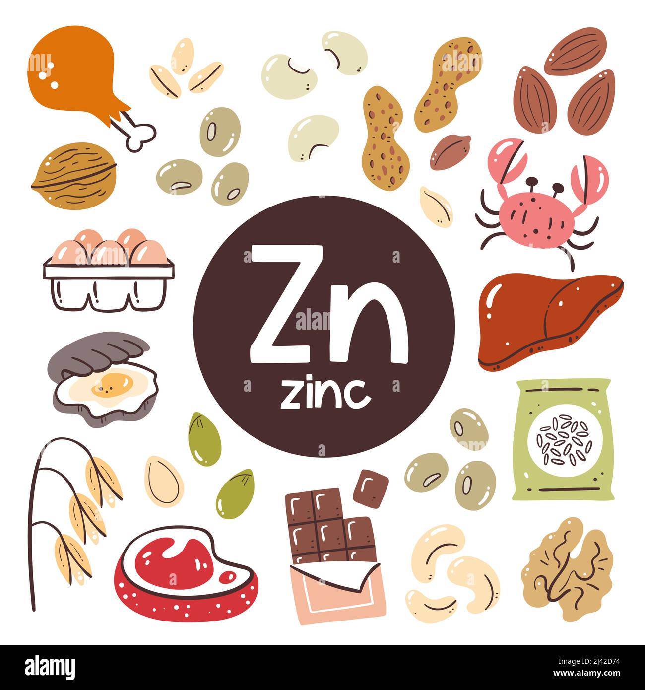 Produits alimentaires à forte teneur en zinc. Ingrédients de cuisson. Viande, chocolat, légumineuses, grain, noix, fruits de mer. Illustration de Vecteur
