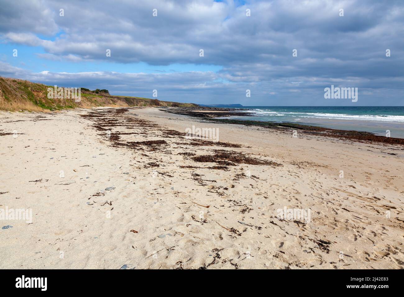 Belle plage de Towan près de Portscatho sur la péninsule de Roseland Cornwall Angleterre Royaume-Uni Banque D'Images