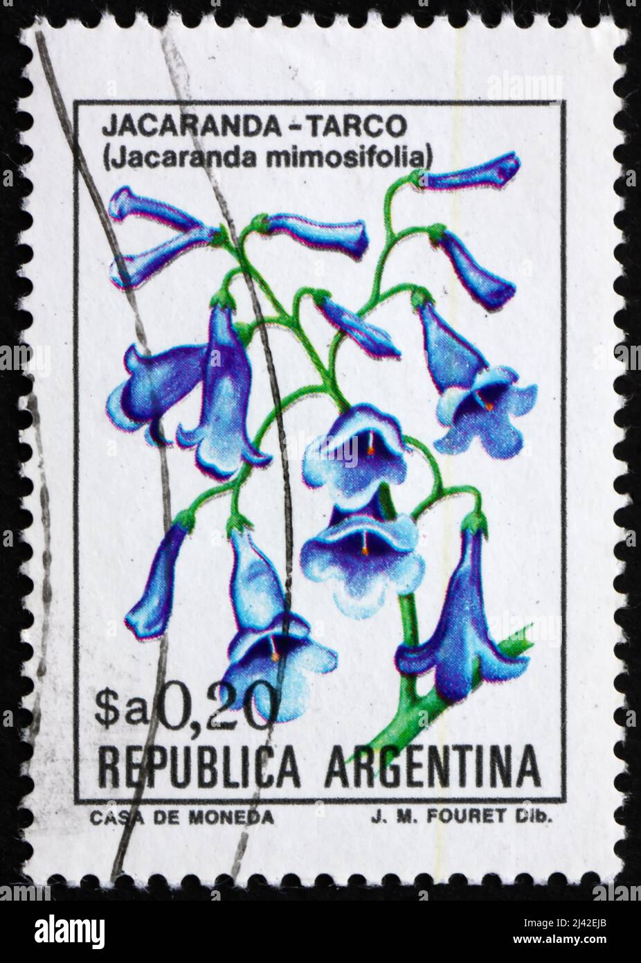 ARGENTINE - VERS 1983 : un timbre imprimé en Argentine montre Blue Jacaranda, Jacaranda Mimosifolia, arbre subtropical sud-américain, vers 1983 Banque D'Images