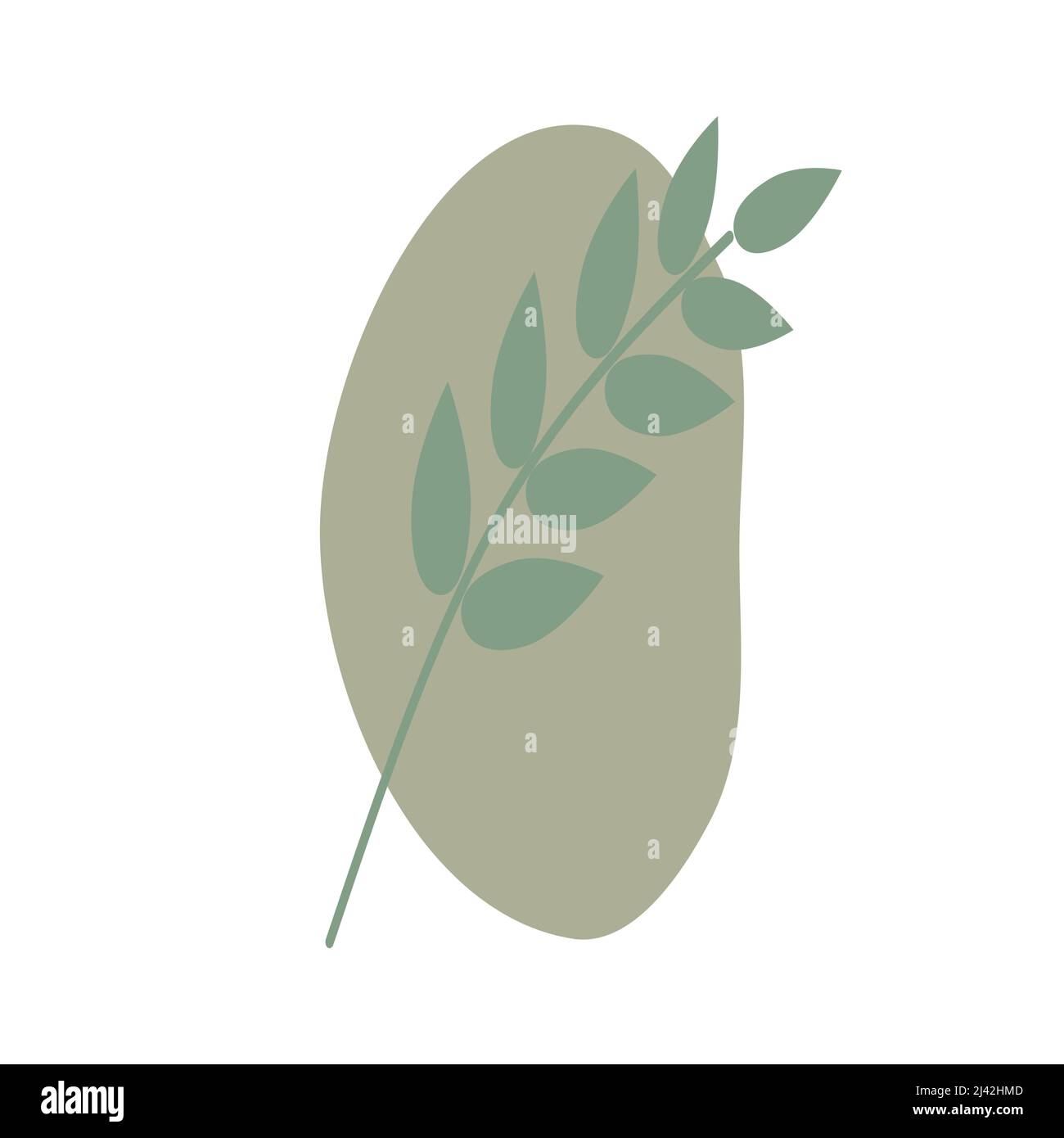Motif vectoriel de modèle de logo olive. Illustration dessinée à la main dans le vecteur. Arrangements d'olives avec des branches d'olives et des fruits pour la cuisine italienne ou Illustration de Vecteur