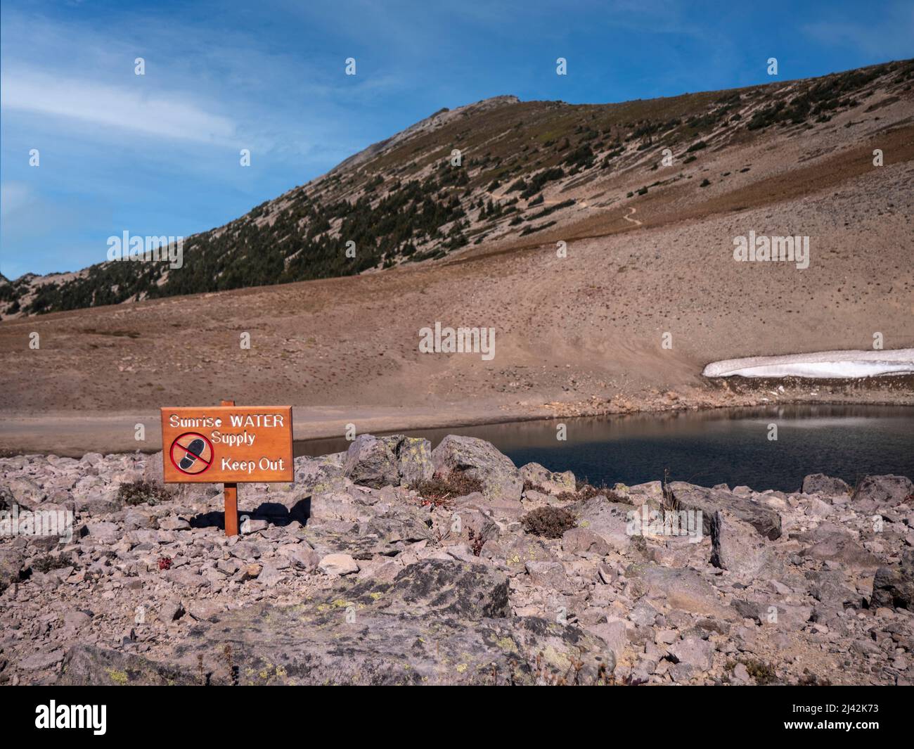 L'eau de la neige fond et fournit de l'eau pour lever du soleil au parc national du Mont Rainier Banque D'Images