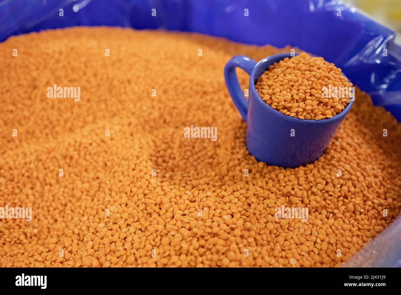 Gros plan des lentilles orange dans le bac avec une tasse bleue Banque D'Images
