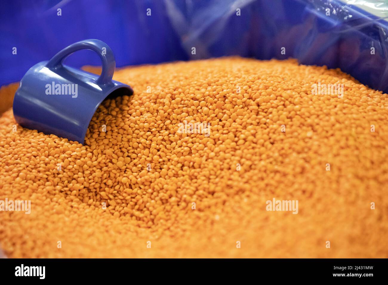 Gros plan des lentilles orange dans le bac avec une tasse bleue Banque D'Images