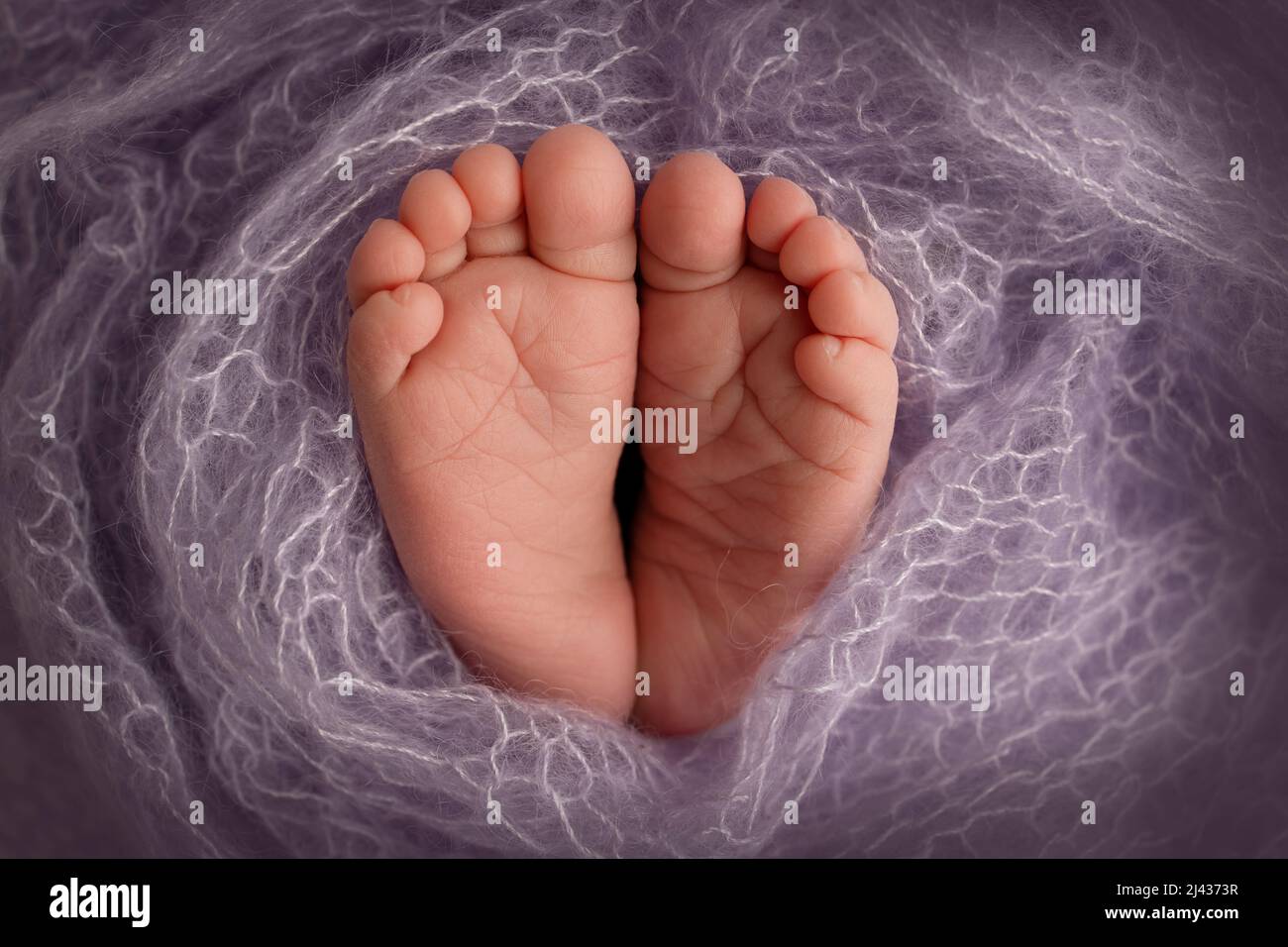 Le pied minuscule d'un nouveau-né. Pieds doux d'un nouveau-né dans une couverture en laine lilas mauve. Gros plan des orteils, des talons et des pieds. Banque D'Images