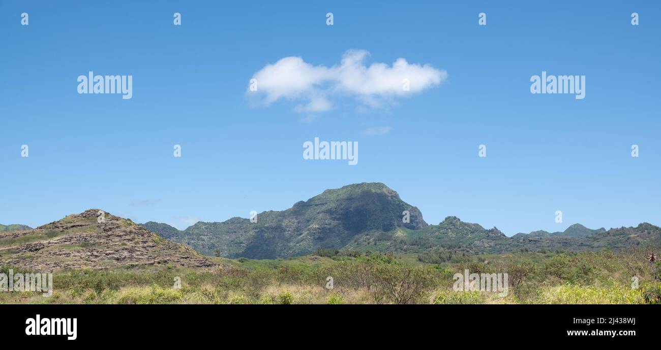 Hill avec un seul cloud Banque D'Images