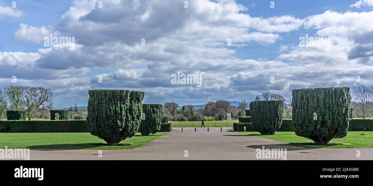 L'avenue menant à Castletown House, Kildare. Une maison palladienne construite en 1720s pour William Connolly, président de la Chambre des communes irlandaise. Banque D'Images