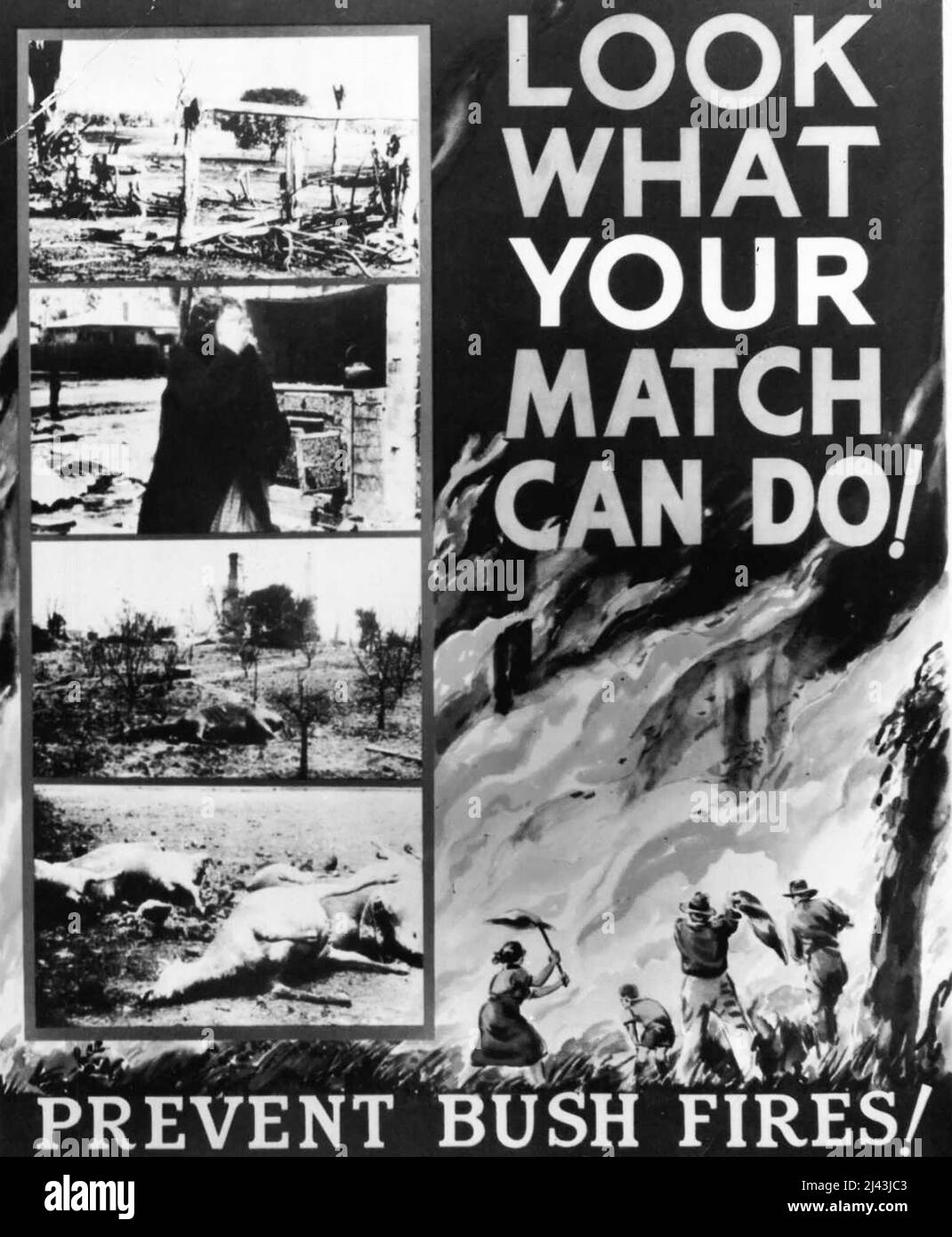 Feux de brousse - interdictions et avertissements, etc. - Divers 20 novembre 1944. Banque D'Images