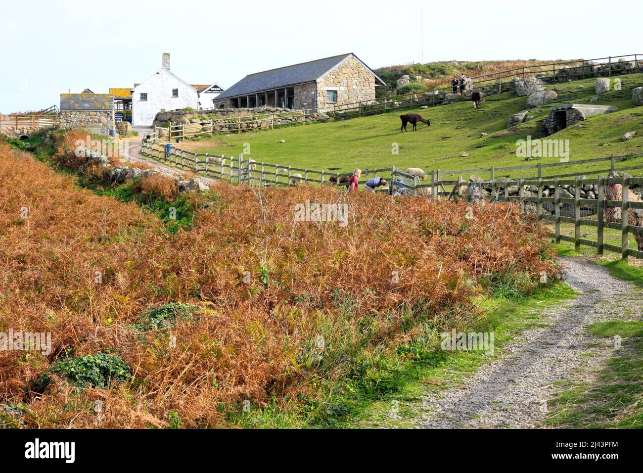 Greeb Farm est une ferme de 200 ans située sur le promontoire de Cornish, à quelques pas de Lands End Cornwall, Angleterre Banque D'Images
