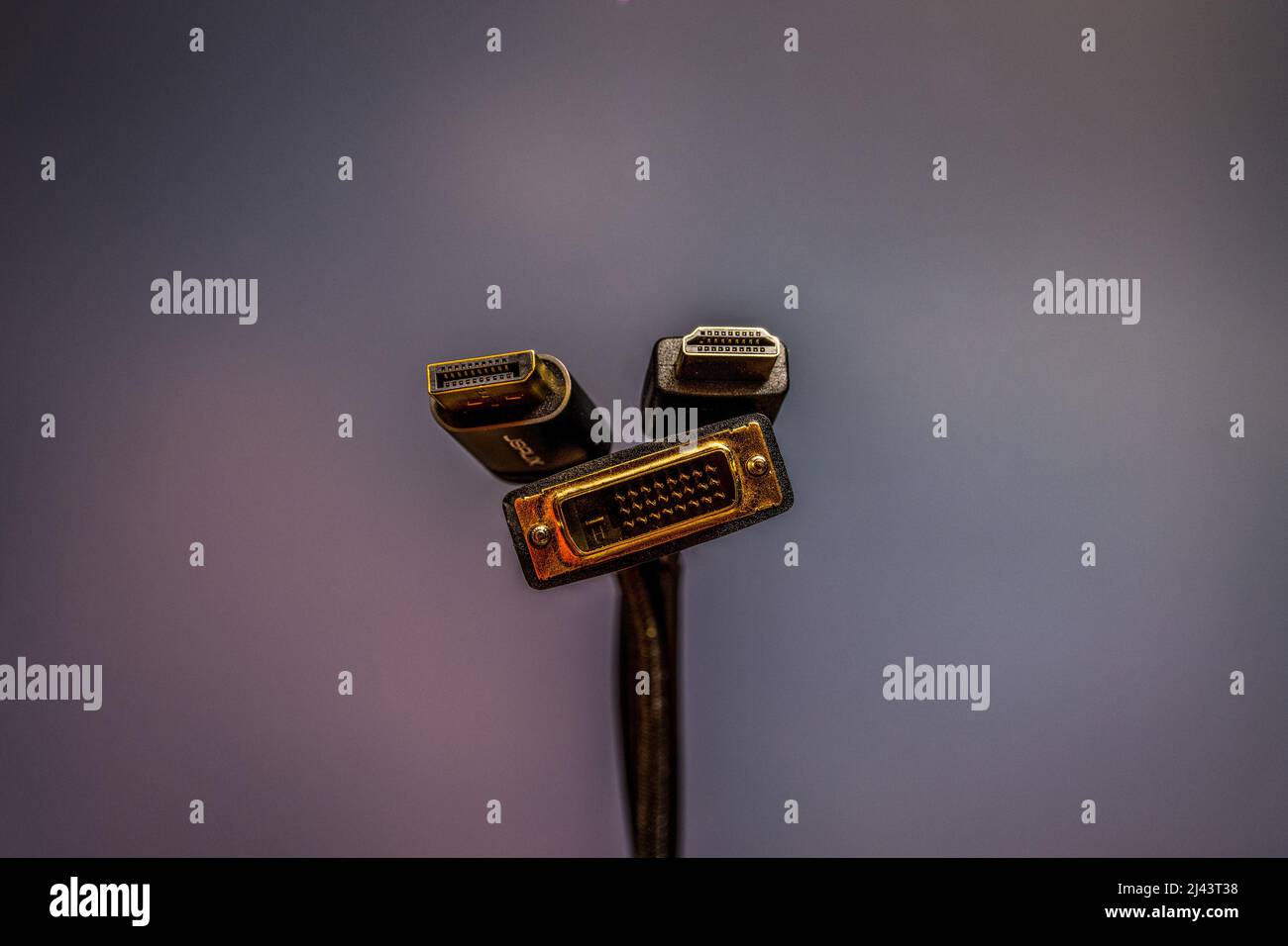 En haut à gauche ; Port d'affichage mâle, en haut à droite ; HDMI mâle, en bas ; Fiche mâle DVI Banque D'Images