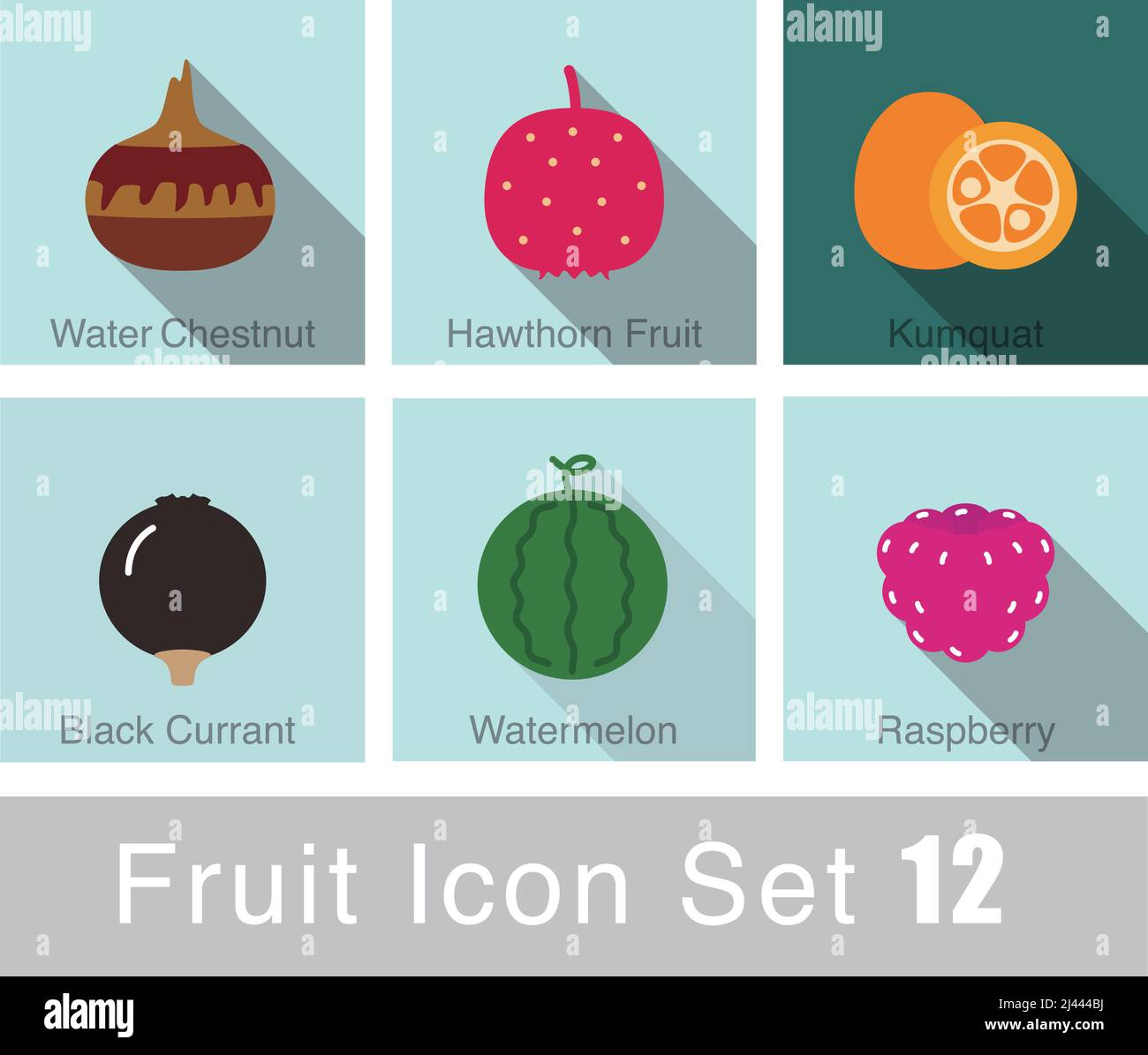 ensemble d'icônes de fruits, vecteur, tel que pastèque, framboise, fruits de l'aubépine, cassis, kumquat, châtaigne Illustration de Vecteur