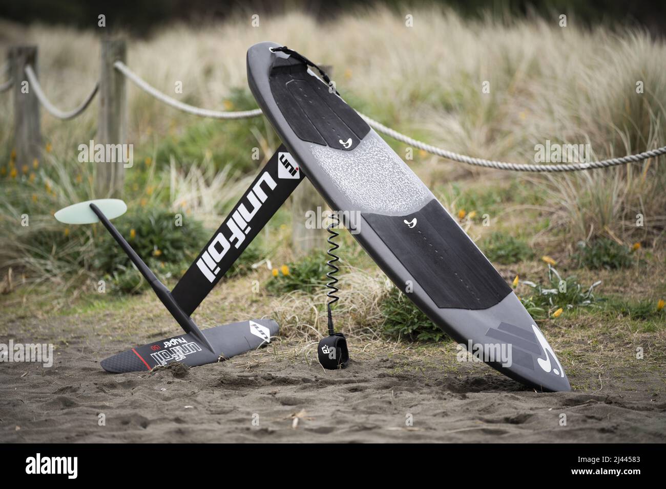 Une planche de surf hydrofoil en fibre de carbone avec hydrofoil en fibre de carbone et laisse se trouve sur le sable à Piha Beach, Auckland, Nouvelle-Zélande. Banque D'Images