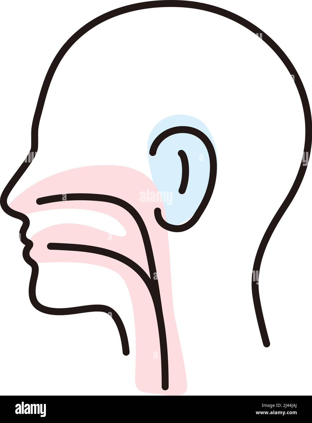 Organe humain gorge oreille nez plat icône, illustration vectorielle Illustration de Vecteur