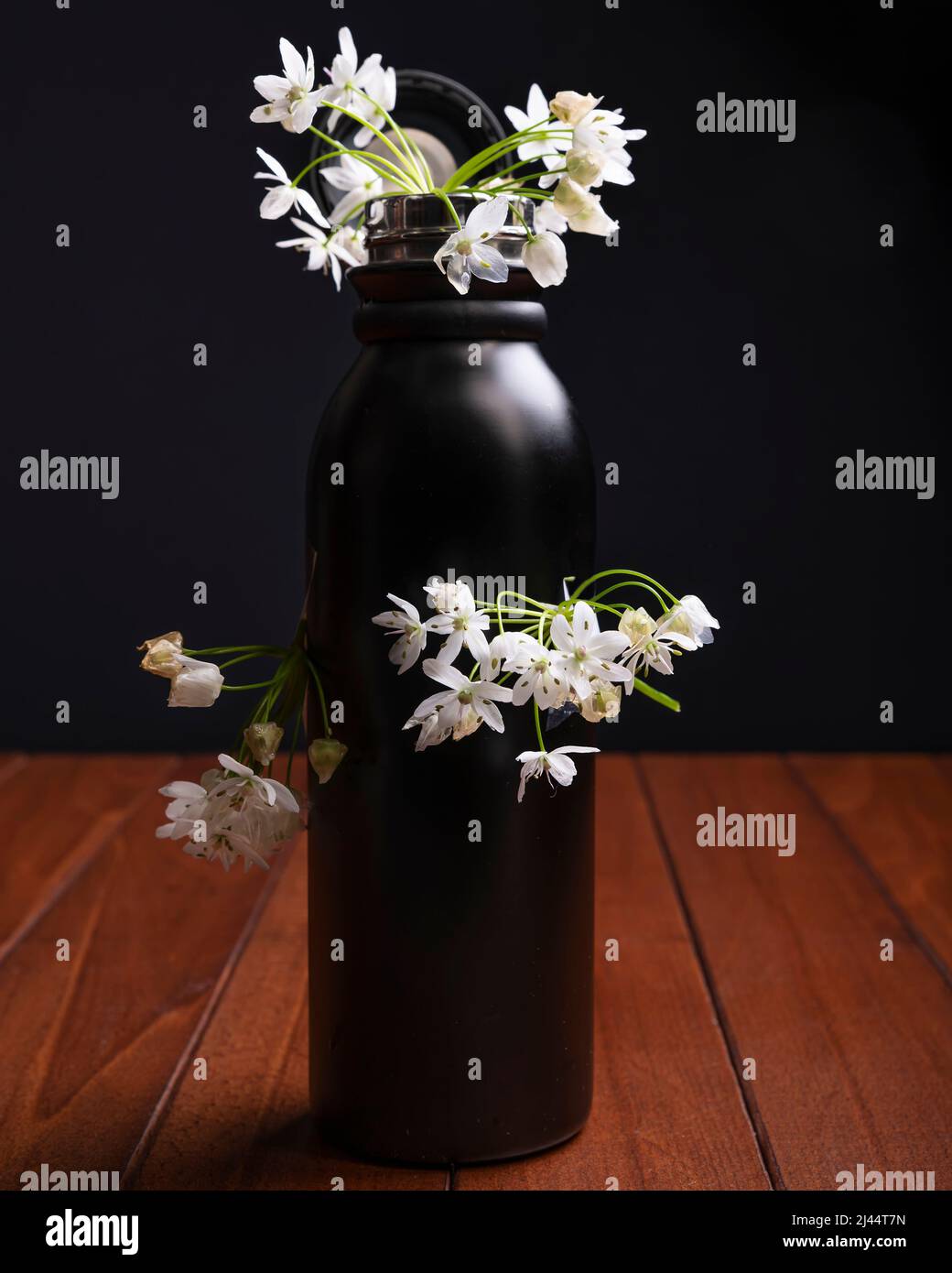 Une bouteille thermique est décorée de fleurs blanches comme symbole de l'économie de récipients en plastique pour la protection de l'environnement Banque D'Images