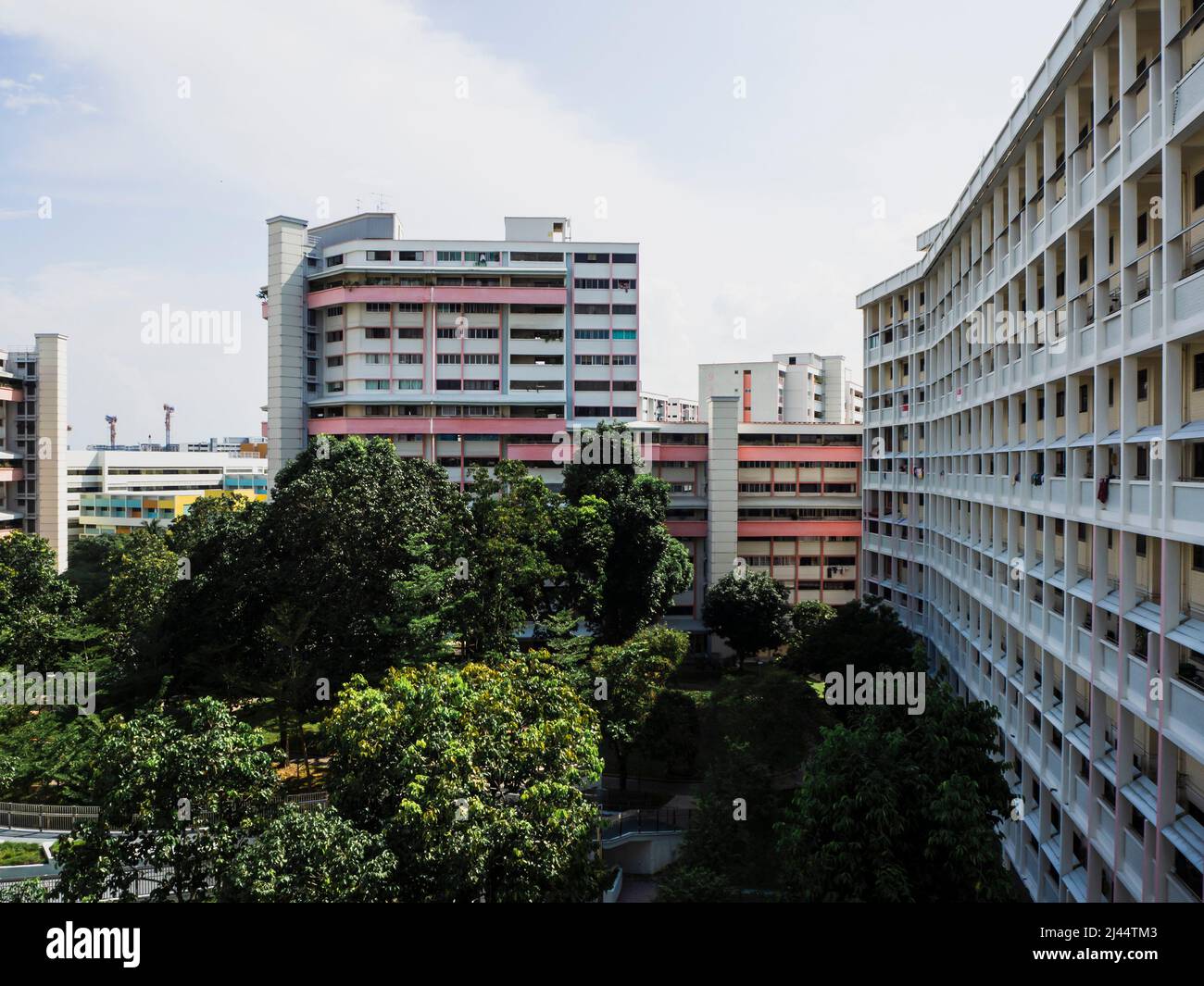 Vue en perspective d'un domaine résidentiel à Singapour. Immeubles d'appartements en hauteur à côté d'un parc de quartier. Banque D'Images