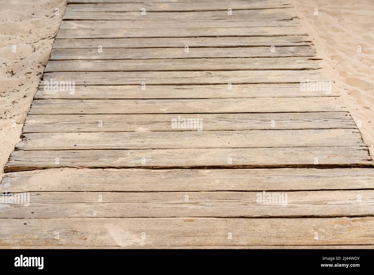 Sentier de planche en bois sur le sable, gros plan de planches rugueuses. Photo de haute qualité Banque D'Images