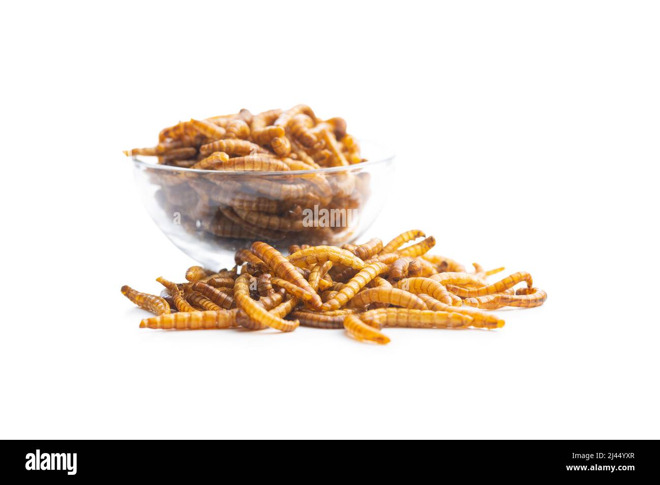 Vers salés frits. Vers de viande rôtis isolés sur fond blanc. Banque D'Images