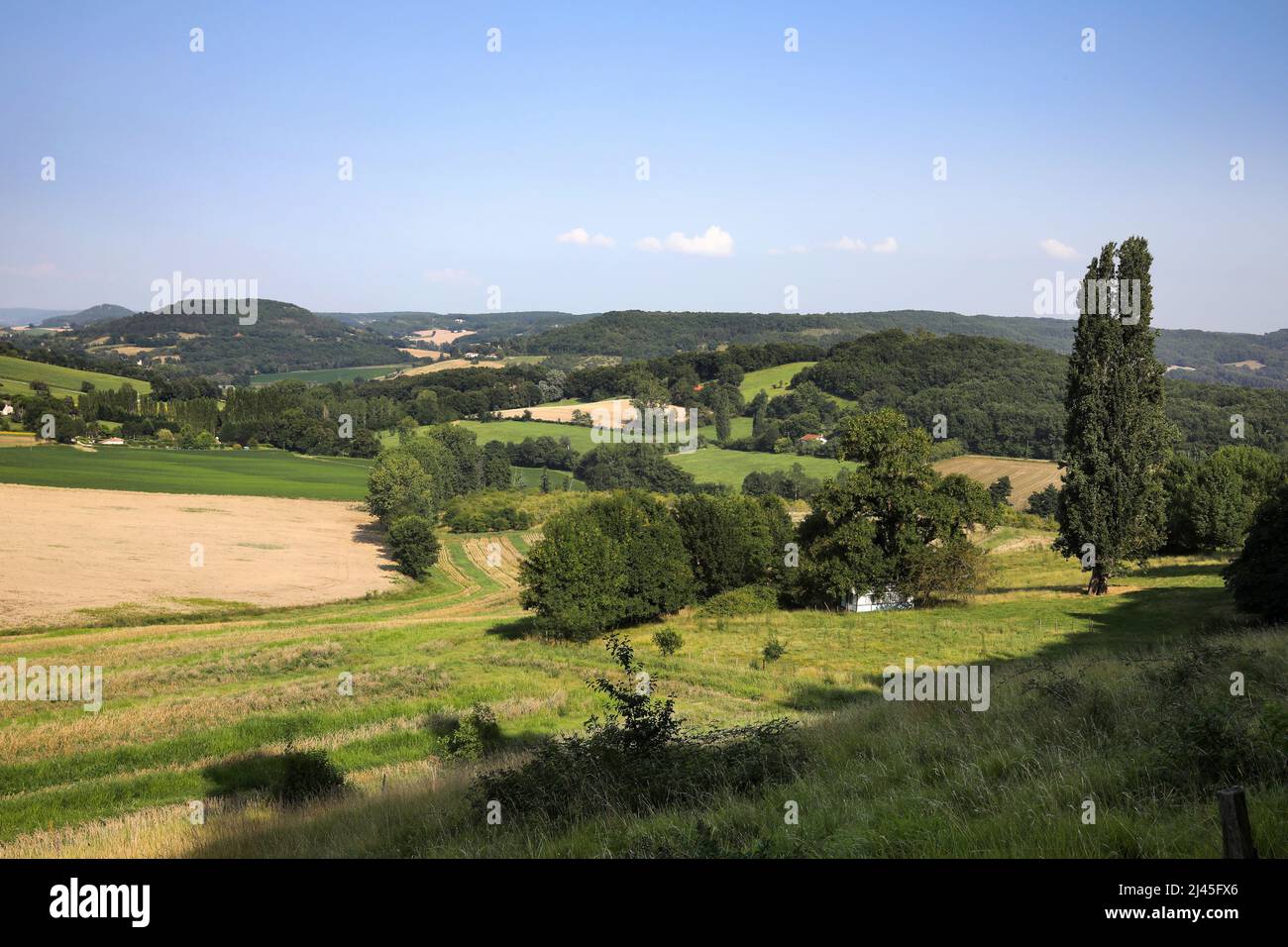 Paysage rural du pays de serre (sud-ouest de la France) : campagne vallonnée Banque D'Images