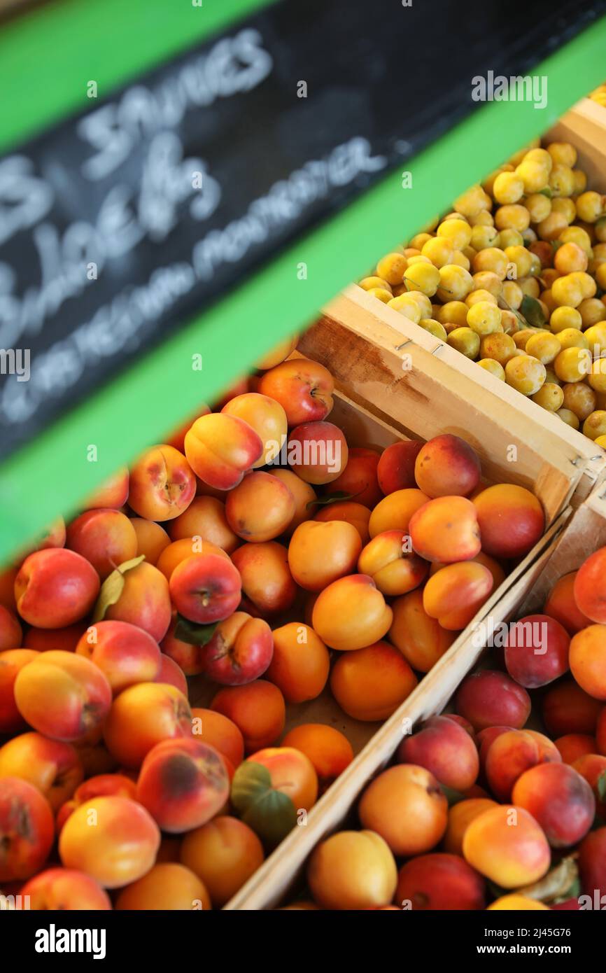 Fruits et légumes dans une boutique coopérative de producteurs, réseau de distribution local : abricots Banque D'Images