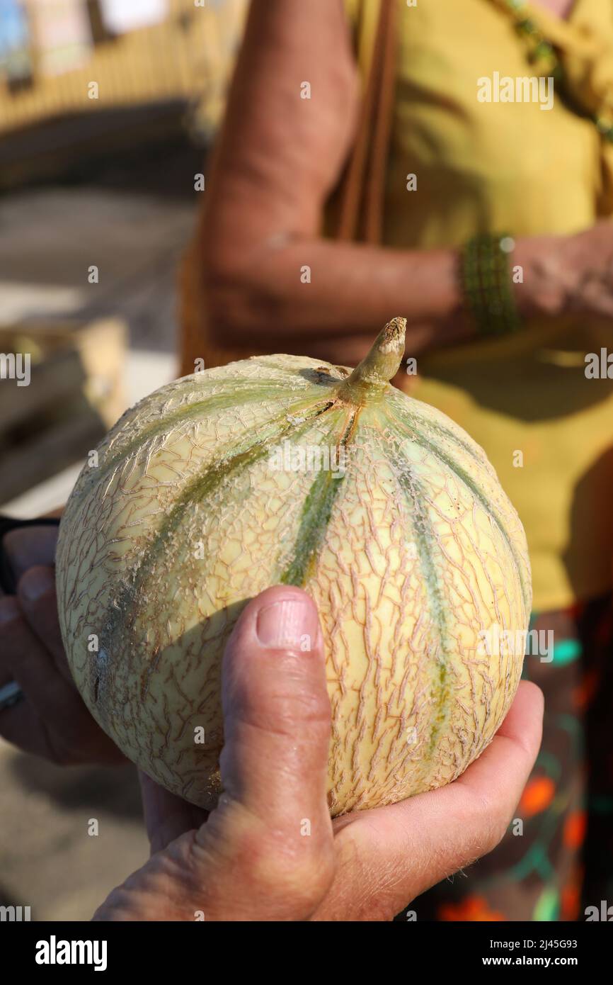 Melon sur une impasse du marché, réseau de distribution local Banque D'Images