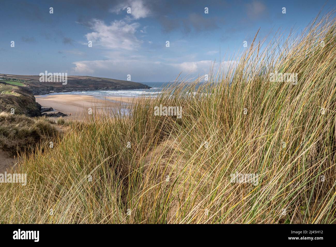 Une vue sur la plage primée Crantock Beach depuis le système fragile de dunes de sable délicates de Rushy Green à Newquay, en Cornouailles. Banque D'Images