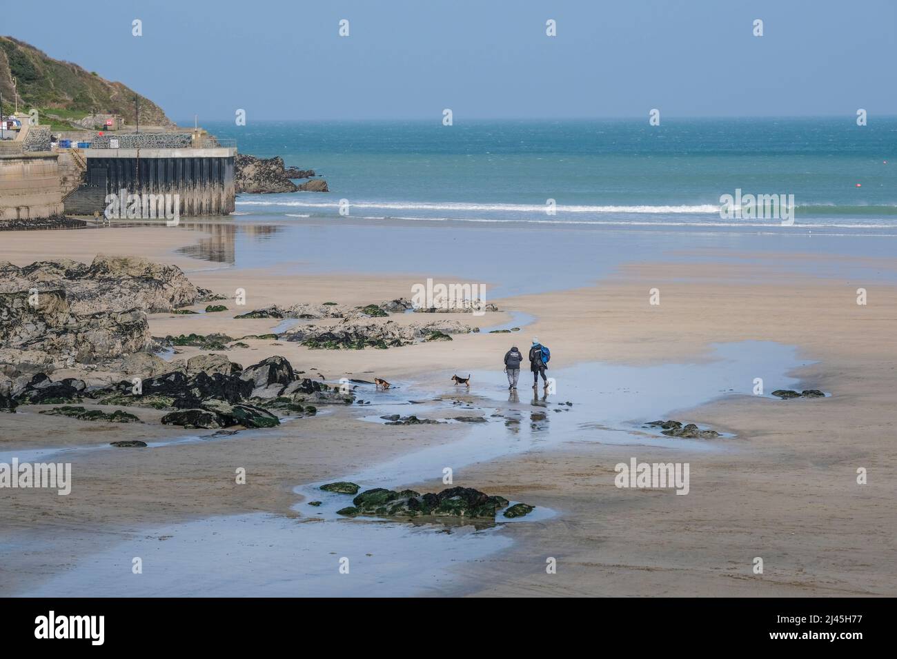 Une vue lointaine des randonneurs de chien sur Towan Beach à Newquay, en Cornouailles, au Royaume-Uni. Banque D'Images