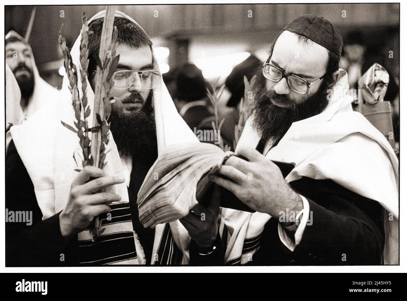 Deux juifs orthodoxes partagent un livre de prière aux services de Sukkos en 1983 à Crown Heights, Brooklyn, New York. Banque D'Images