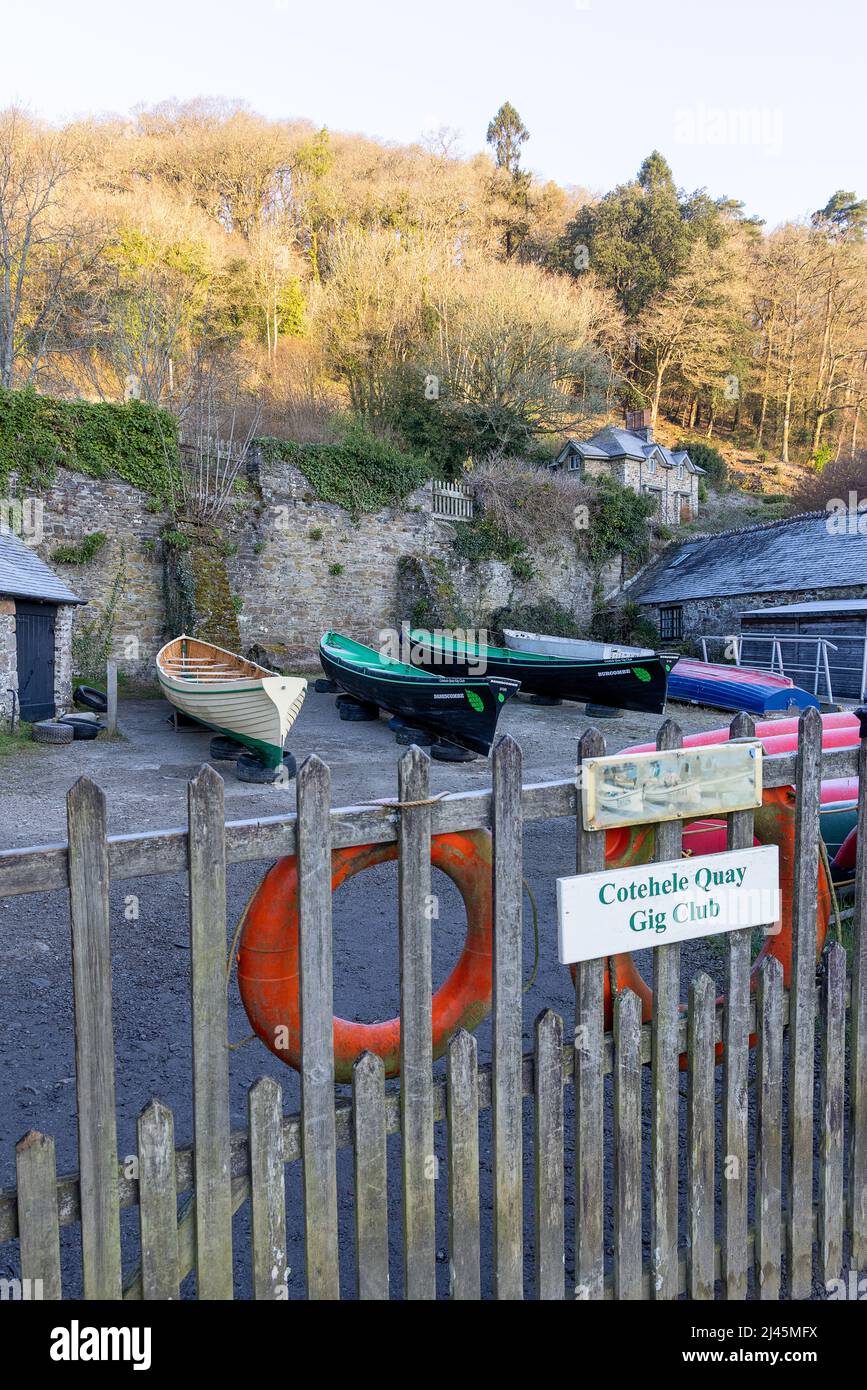 Cornish Pilot Gig Raving Boats du Cotehele Quay Gig Club - Teylu est de construction traditionnelle de clinker aux normes de la CPGA Banque D'Images