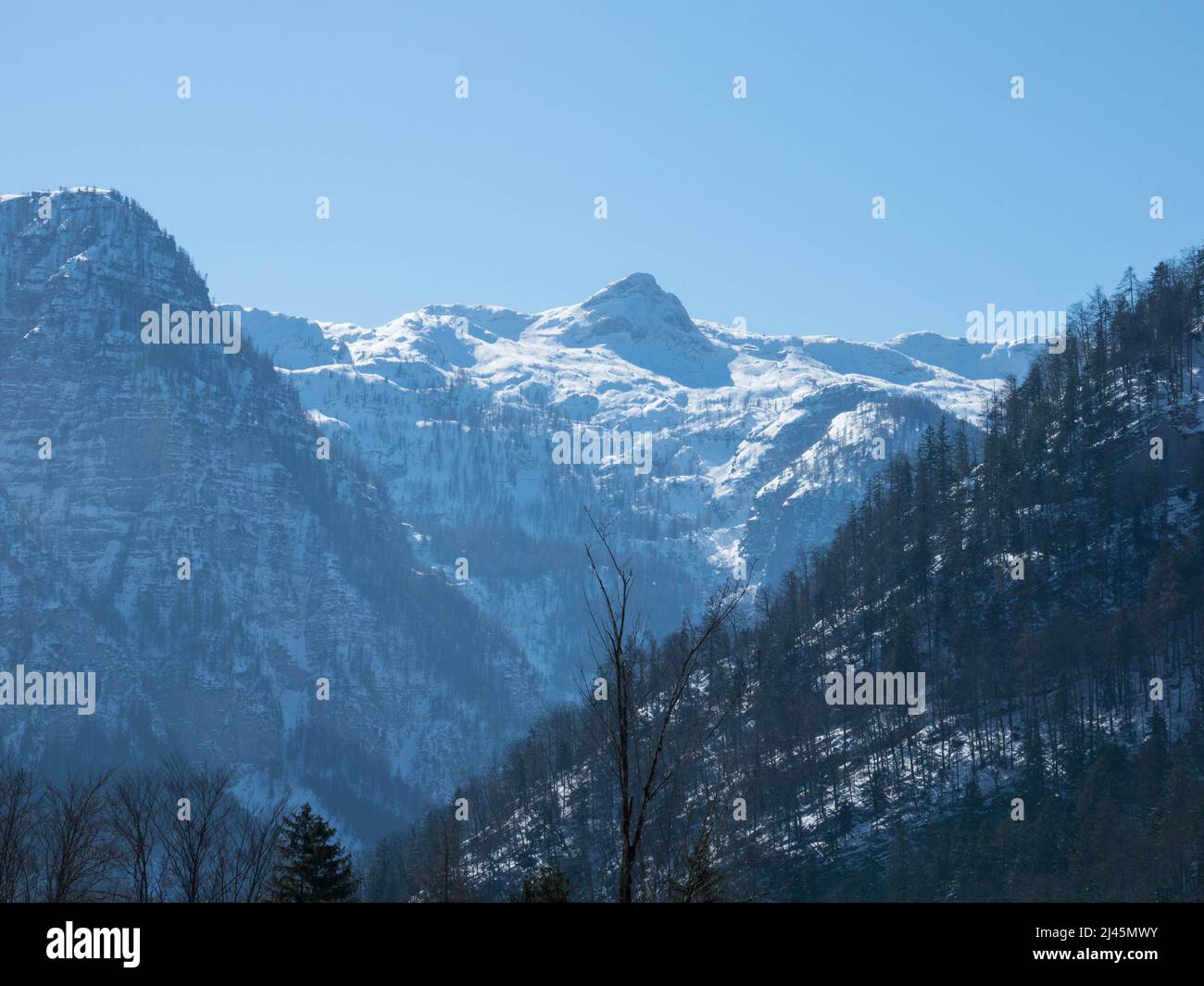 Vue panoramique sur le panorama enneigé des Alpes de Dachstein. Le glacier de Dachstein est la plus haute montagne de la haute-Autriche, en Styrie. Glace éternelle dans Le A. Banque D'Images